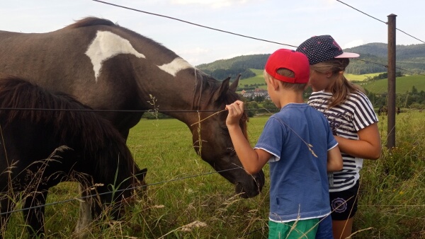 Dzieci głaskają konie.