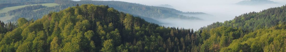 Widok z Jaworzyny Krynickiej